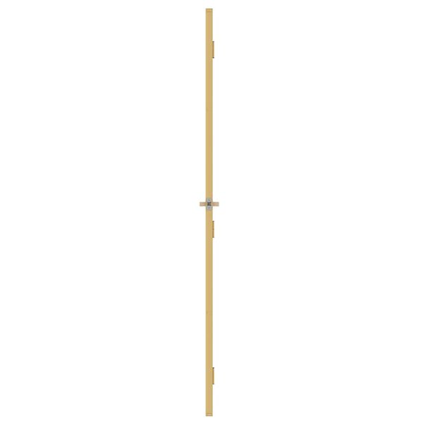 vidaXL Innentür Schlank Golden 76x201,5 cm Hartglas und Aluminium