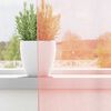 Produkt-Miniaturbild 3 von 9