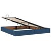 vidaXL Bett mit Stauraum und LED mit LED Blau 200 x 200 cm Polyester