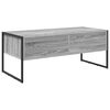 vidaXL Couchtisch Graues Sonoma 100 x 46 x 40 cm Holzwerkstoff