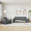 vidaXL Sofa 2 pcs Dunkelgrau
