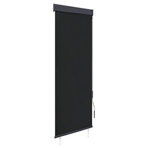 vidaXL Au&szlig;enrollo 60 x 250 cm Anthrazit