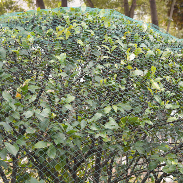 vidaXL Vogelschutznetze 2 Stk 6x6 m PE