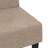vidaXL Schlafsofa 2-Sitzer Taupe Mikrofasergewebe