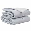 vidaXL Ganzjahresbettdecke 200 x 200 cm 300 g/m&sup2; Silber