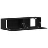 vidaXL TV-Schrank Schwarz Eichen-Optik 120x30x30,5 cm Holzwerkstoff