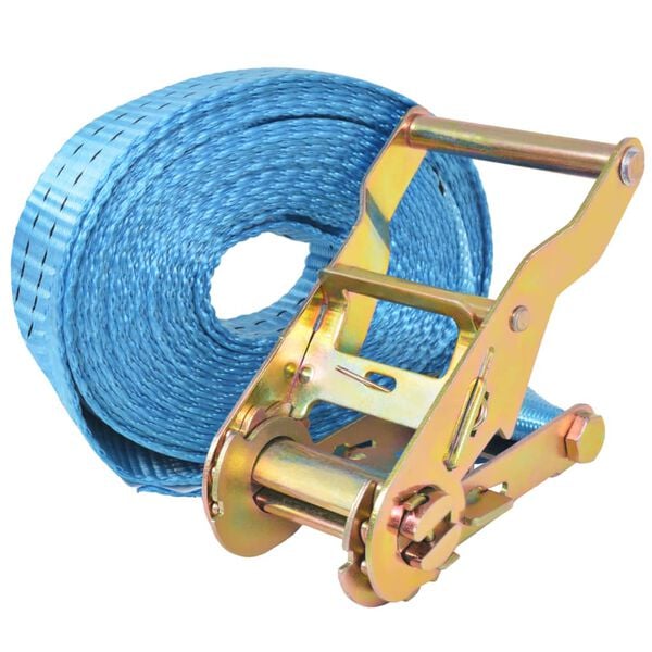 vidaXL Ratschen-Spanngurte 10 Stk. 2 Tonnen 6m×38mm Blau