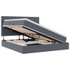 vidaXL Bett mit Stauraum und LED Dunkelgrau 180 x 200 cm Samt