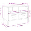 vidaXL TV-Schrank Anthrazit 68x39x50,5 cm Stahl