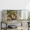 vidaXL Terrarium mit Speicher Transparent 80 x 40 x 40 cm Glas