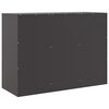vidaXL Sideboard Schwarz 99x39x73 cm Stahl
