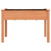 vidaXL Pflanzk&uuml;bel mit Einsatz Braun 118x59x76 cm Massivholz Tanne