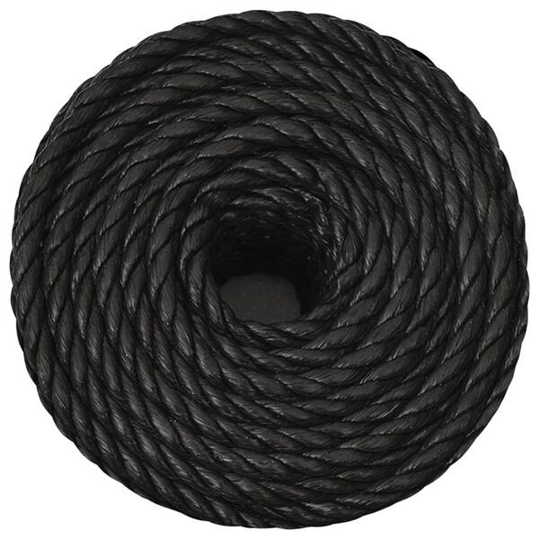 vidaXL Arbeitsseil Schwarz 12 mm 250 m Polypropylen