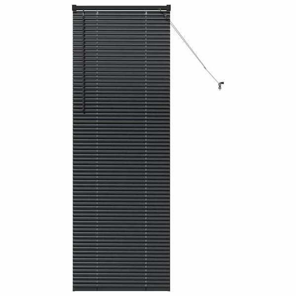 vidaXL Balkenjalousien mit Vorh&auml;ngen Schwarz 175 x 60 cm Aluminium
