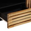 vidaXL TV-Schrank 100x34x46 cm Raues Massives Mangoholz