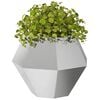 Produkt-Miniaturbild 3 von 11