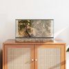 vidaXL Terrarium mit Speicher Transparent 50 x 30 x 30 cm Glas