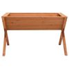 vidaXL Hochbeet 90x55x56 cm Tannenholz