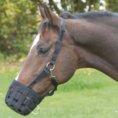 Covalliero Pferde-Maulkorb Pony Schwarz