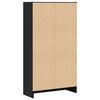 vidaXL Bücherregal Schwarz 60x24x109 cm Holzwerkstoff