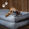 Madison Hundekissen Panama 100x70x15 cm Grau