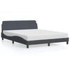 vidaXL Bettgestell "Dover" Dunkelgrau 160x200 cm Samt