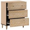 vidaXL Beistellschrank 60x33x75 cm Massivholz Mango