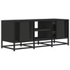 vidaXL TV-Schrank Schwarz 100x35x41 cm Holzwerkstoff und Metall