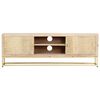 vidaXL TV-Schrank Golden 120x30x40 cm Massivholz Mango