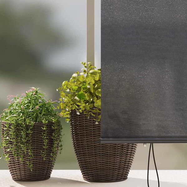 vidaXL Outdoor Rollo Gestreift Anthrazit 200 x 250 cm Stoff