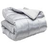 vidaXL Winterbettdecke Silber 240 x 200 cm Satin und Mikrofaser