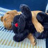 Snuggle Puppy Hundespielzeug mit Herzschlag Schwarz