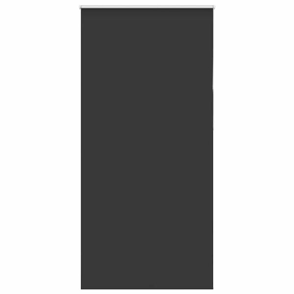 vidaXL Verdunkelungsrollo Schwarz 100x230 cm Stoffbreite 95,7cm