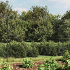 Produkt-Miniaturbild 2 von 7