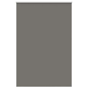 vidaXL Verdunkelungsrollo Grau 160x230cm Stoffbreite 156,6cm Polyester