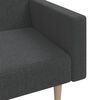 vidaXL Schlafsofa 2-Sitzer Dunkelgrau Stoff