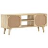 vidaXL TV-Schrank 110×30×45 cm Mango Massivholz