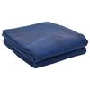 vidaXL Zeltteppich Blau 200 x 200 cm Polyester