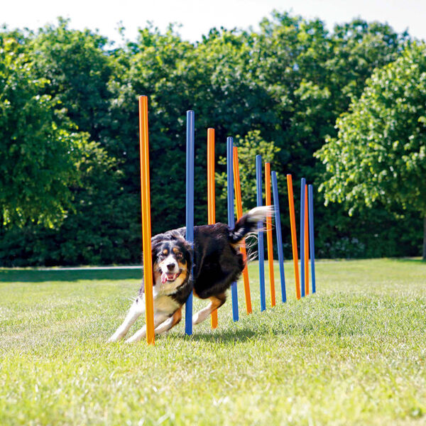TRIXIE Agility Slalomstangen 12 St&uuml;ck 115 cm Kunststoff 3206