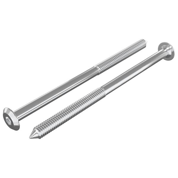 vidaXL M&ouml;bel-Schrauben 2 pcs Silber M6 x 100 mm Stahl