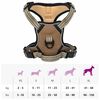 vidaXL Hundegeschirr mit Leine & Halsband Verstellbar Braun XL