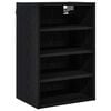 Black_oak