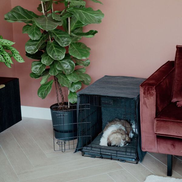 DISTRICT70 Hundebox-Abdeckung Dunkelgrau L