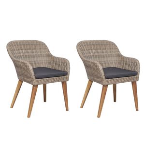 vidaXL Gartenst&uuml;hle mit Polstern 2 Stk. Poly Rattan Braun
