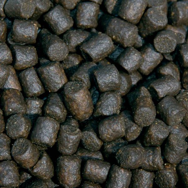 Sanikoi Fischfutter Sturgeon Pro 10 L