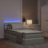 vidaXL Bett mit Stauraum und LED mit LED Hellgrau 90 x 190 cm Samt