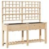 vidaXL Garten-Pflanzgef&auml;&szlig; mit Regal Beige 161 x 46 x 152,5 cm
