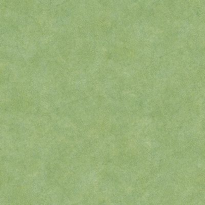 Noordwand Tapete Evergreen Leaf Veins Grün