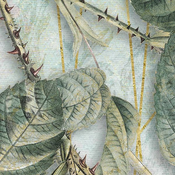 Komar Fototapete La Rosa 200x250 cm