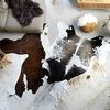 Produkt-Miniaturbild 2 von 9